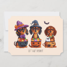 Hagamos que los perros de Dachshund se vuelvan loc