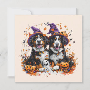 Invitación Halloween Bernese Mountain Dogs Witch Ghost
