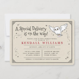 Invitación Harry Potter Hedwig Entrega Especial Revelación de