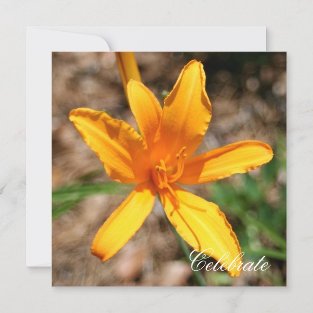 Invitación hemerocallis (Anverso)