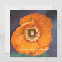hermosa flor de amapola silvestre dorada para toda