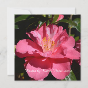 Invitación hermosa flor de camelia rosa para toda fiesta