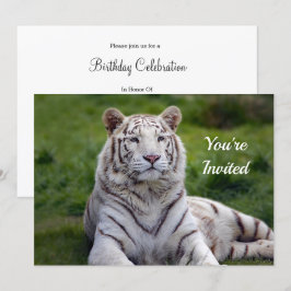 Invitación Hermosa foto de tigres blancos cumpleaños