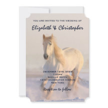 Hermosa galopante de caballos blancos en la Rusia