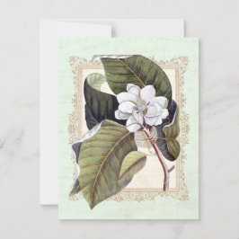 Invitación Hermosa Magnolia Blanca Fiesta de la cena formal