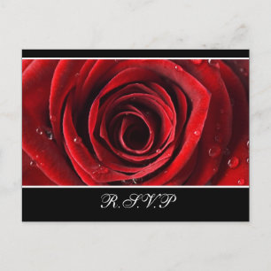 Invitación Hermosa postal RSVP de la boda de la rosa roja - N