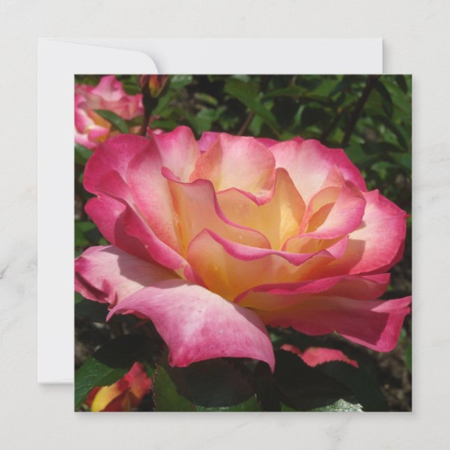 Invitación Hermosa Rosa (Anverso)