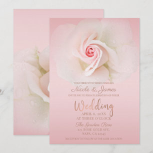 Invitación Hermosa Rosa Húmeda Rosa Suave Elegante Boda