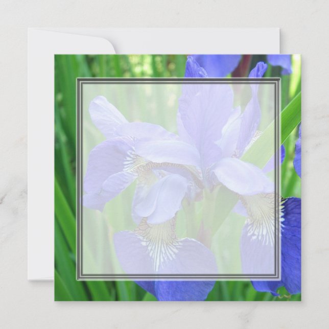 Invitación Hermosas flores de iris azules para boda, fiesta, (Anverso)