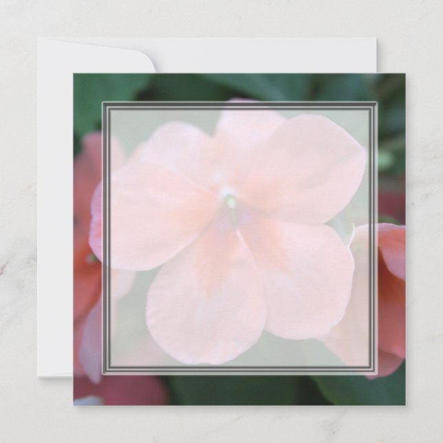 Invitación Hermosas flores de jardín rosadas en blanco para b (Anverso)
