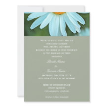 Hermosas, invitantes flores blancas de margarita p