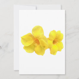 Invitación Hermoso Allamanda florece con caídas de lluvia