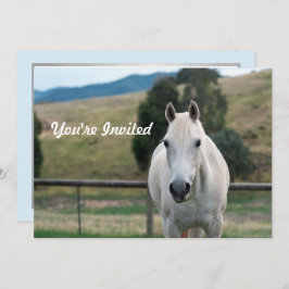 Invitación Hermoso caballo blanco Appaloosa Foto Cumpleaños