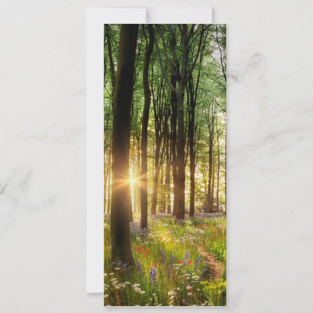Invitación Hermoso camino de bosques de flores silvestres y a (Anverso)