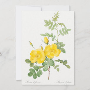 Invitación Hermoso Jardín de flores de rosa amarillo