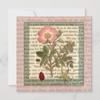 Invitación Hermoso Rosa antiguo Fiesta Jardín Vintage