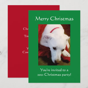 Invitación Hermosos Navidades verdes de perros con pipa blanc