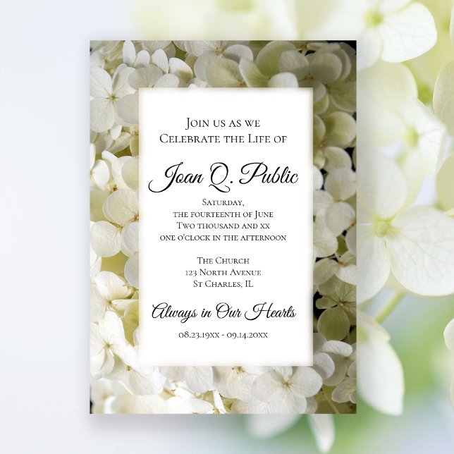 Invitación Hidrangea blanca celebración de la vida (Subido por el creador)