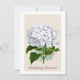 Invitación Hidrangea blanca Ilustraciones botánicos de cosech