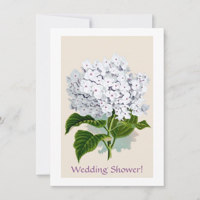 Invitación Hidrangea blanca Ilustraciones botánicos de cosech (Anverso)