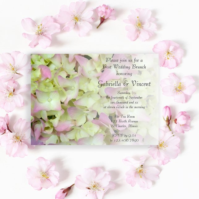 Invitación Hidrangea casi rosa Boda postoral floral Brunch (Subido por el creador)