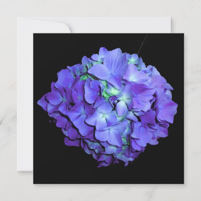 Invitación Hidrangea púrpura y verde azulada, flores moradas  (Anverso)