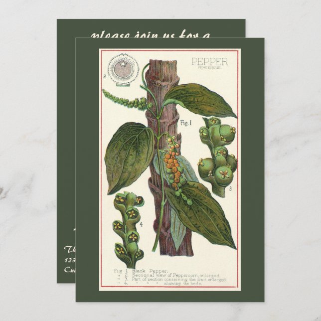 Invitación Hierbas Especias Comida Antigua, Planta de Pimient (Anverso / Reverso)