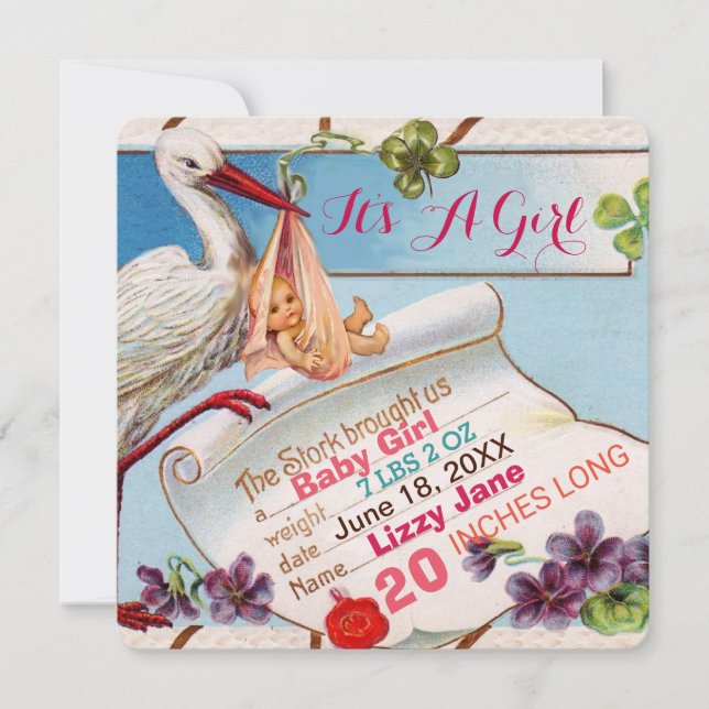 Invitación HISTORIA, ESTADO DE NACIMIENTO DE BABY SHOWER Chic (Anverso)