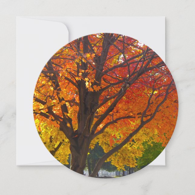 Invitación Hojas otoñales de amarillo y Naranja (Anverso)