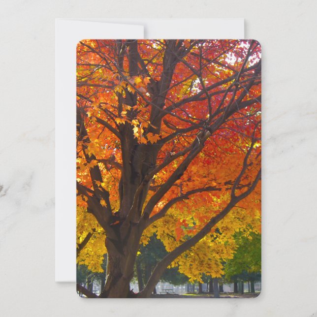 Invitación Hojas otoñales del Naranja amarillo (Anverso)