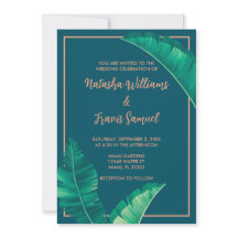 Hojas tropicales elegantes de palmera