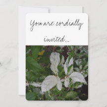 Hojas verdes y blancas: Boda