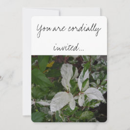 Invitación Hojas verdes y blancas: Boda