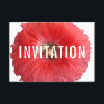 Invitación Hollyhock rojo de verano (nuevo)<br><div class="desc">Esta hermosa imagen floral es parte de una nueva serie de diseños que presenta flores de huerto caseras inglesas de quinesencialmente en alta resolución. Aquí tenemos una magnífica imagen de una flor del Hollyhock en Summer Red recién escogida de un jardín de cabañas inglés; fotografiado y procesado en nuestro estudio...</div>