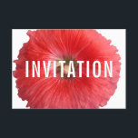 Invitación Hollyhock rojo de verano (nuevo)<br><div class="desc">Esta hermosa imagen floral es parte de una nueva serie de diseños que presenta flores de huerto caseras inglesas de quinesencialmente en alta resolución. Aquí tenemos una magnífica imagen de una flor del Hollyhock en Summer Red recién escogida de un jardín de cabañas inglés; fotografiado y procesado en nuestro estudio...</div>