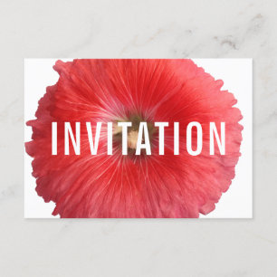 Invitación Hollyhock rojo de verano (nuevo)
