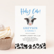 Holy Cow Boy 1er cumpleaños