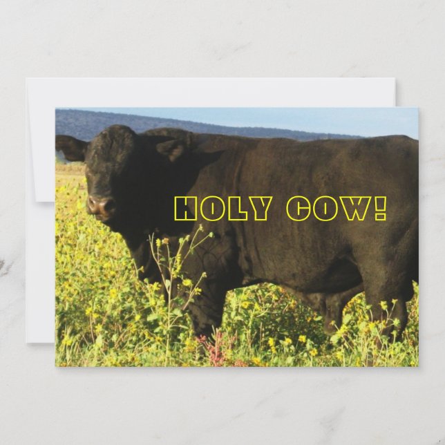 Invitación ¡Hora de Reunir!  Vaca Sagrada - Fiesta Western (Anverso)