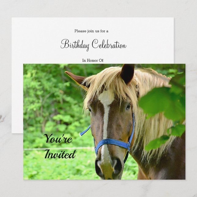 Invitación Horse Brown Borrador belga foto cumpleaños (Anverso / Reverso)