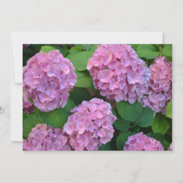 Invitación Hortensia hidrangea bush rosa