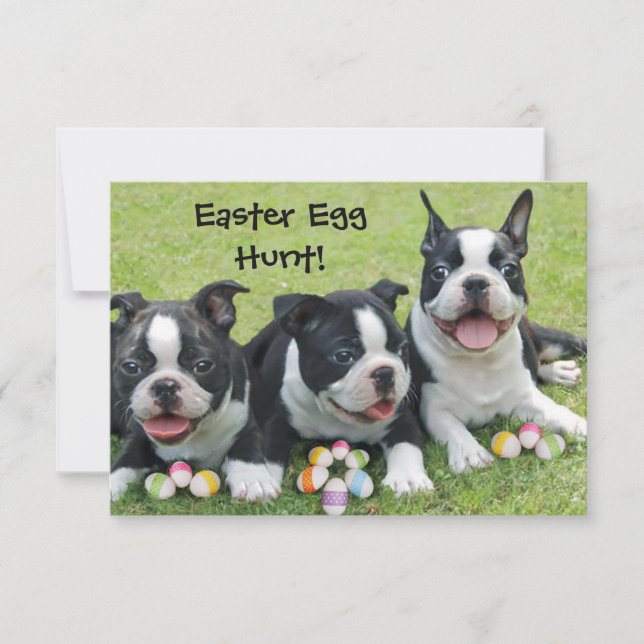 Invitación Huevo de Pascua Caza Boston Perros invitados (Anverso)