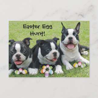 Invitación Huevo de Pascua Caza Boston Perros invitados