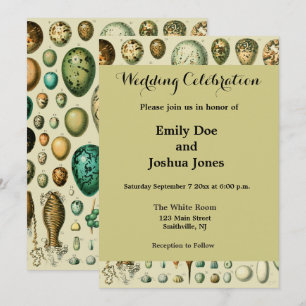 Invitación Huevos de Pájaros Antiguos Arte de Hueva de Pescad