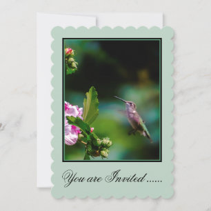 Invitación Hummingbird - Fotografía original
