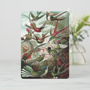 Invitación Hummingbirds - Ernst Haeckel