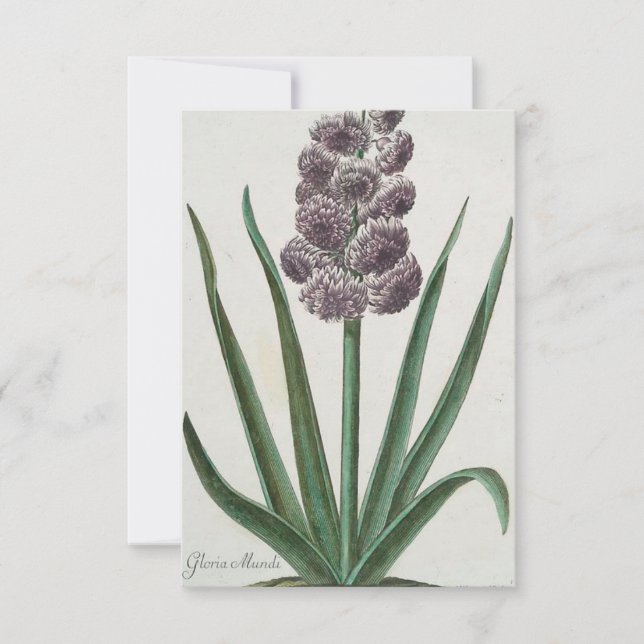 Invitación Hyacinth (Gloria Mundi) (Anverso)