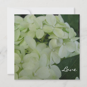 Invitación Hydrangea Amor
