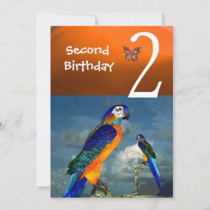 Invitación HYPER PARROTS / Azul Naranja de la Segunda Fiesta