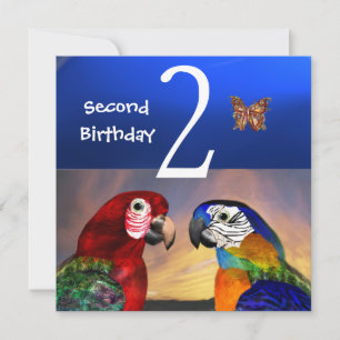 Invitación HYPER PARROTS / Primera fiesta de cumpleaños