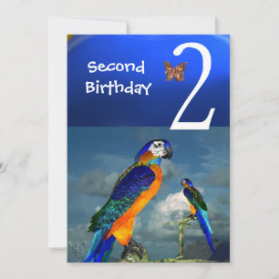 Invitación HYPER PARROTS / Segunda fiesta de cumpleaños